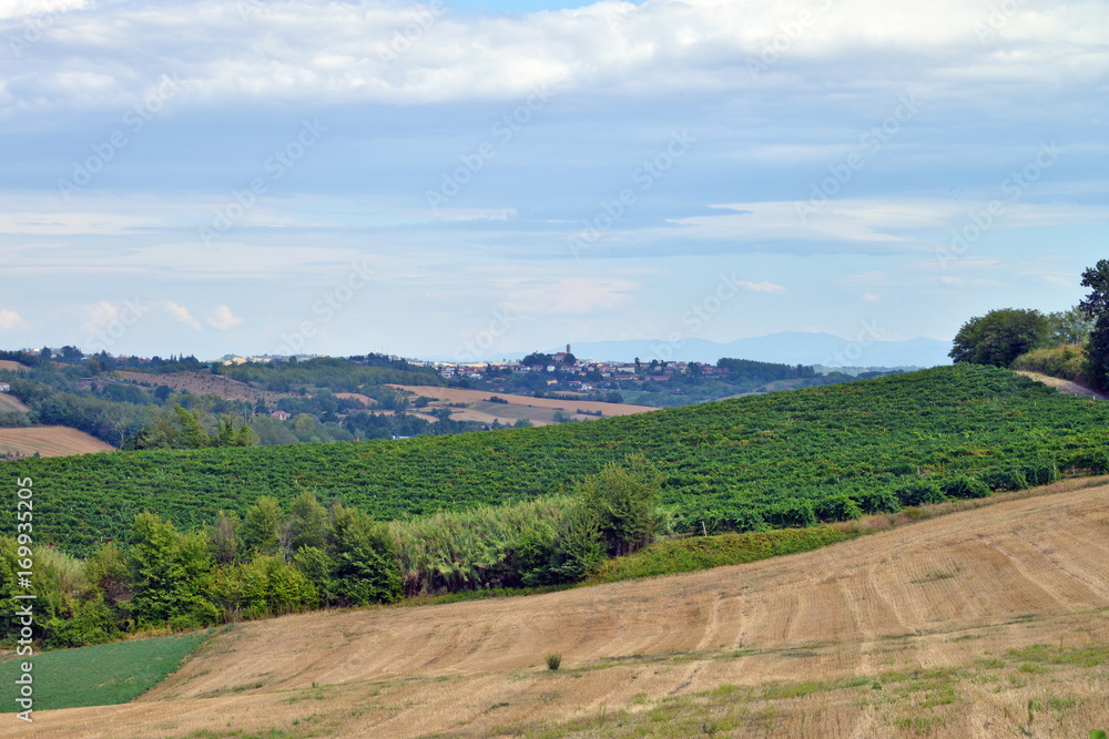 Obraz premium panorama del Monferrato, Piemonte, Italia