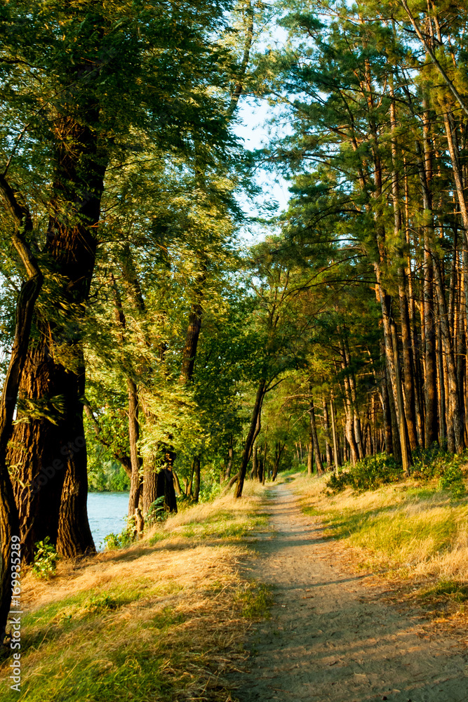 Fototapeta premium The path along the water