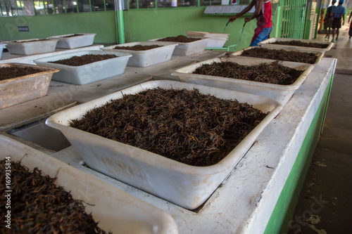 Boxes of tea in the tea factory warehouse. photo