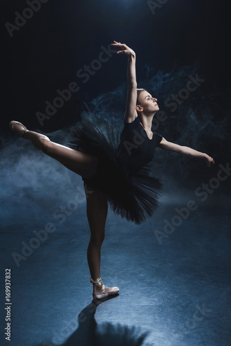 Fototapeta Naklejka Na Ścianę i Meble -  ballet dancer