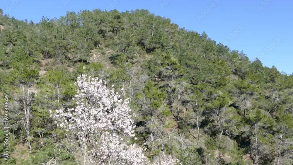 Nature landscape in Serra d'Espada natural park Nature landscape in Serra d'Espada natural park