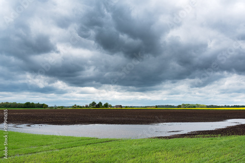 Wet field after heavy rain. photo