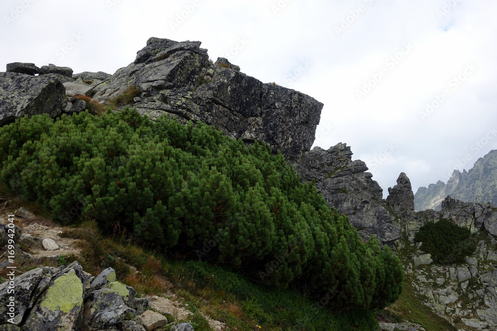 Mountain scenery of High Tatras