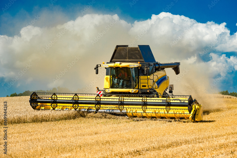 Fototapeta premium Combine harvester at the grain harvest - 9864