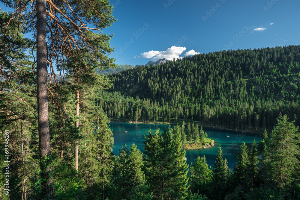 A green coniferous forest encircling a turqoise mountain lake with a small island in Switzerland
