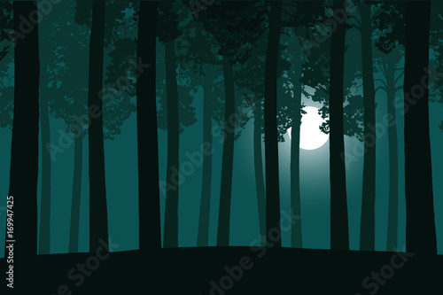 Vector illustration of a green forest with a moonlight