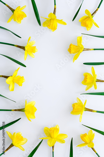 Fototapeta Naklejka Na Ścianę i Meble -  Daffodils on white background. Space for text. Postcard