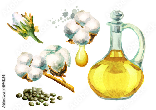 Naturar Cottonseeds oil set. Watercolor illustration photo