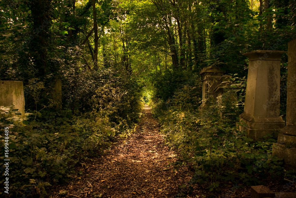 Obraz premium Forgotten path