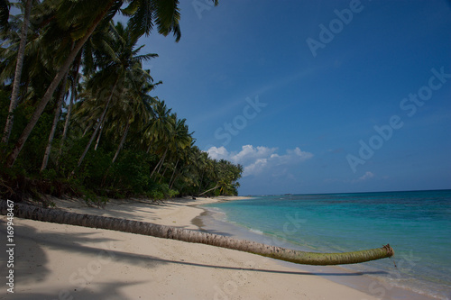 Fototapeta Naklejka Na Ścianę i Meble -  Mentawai paradise