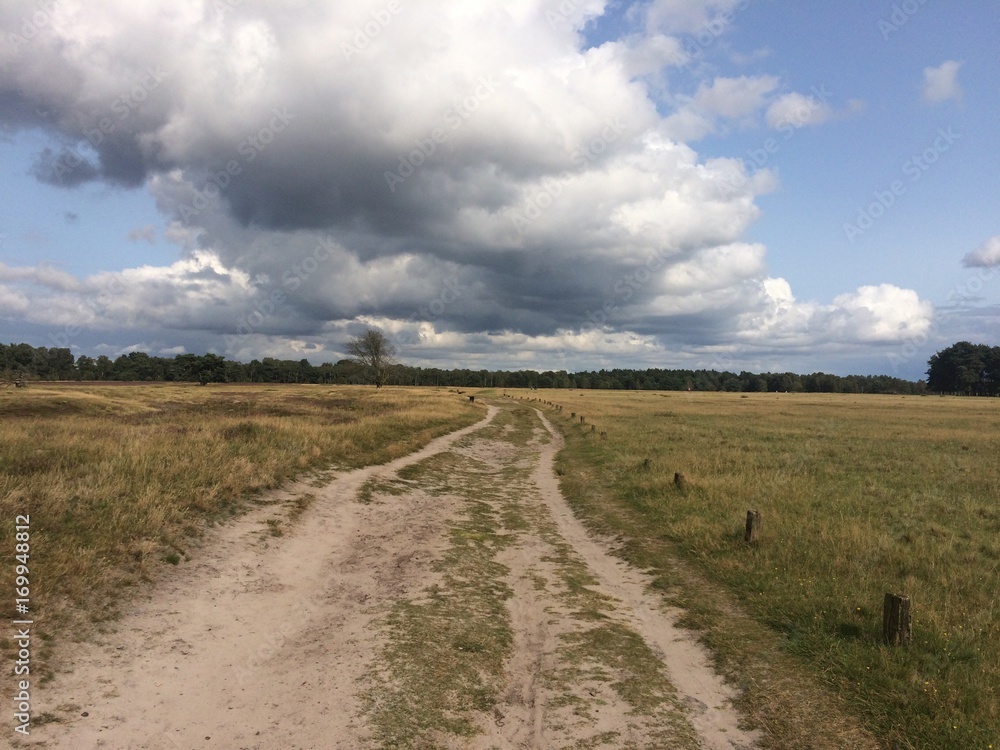 Fototapeta premium Unwetter über Sandweg