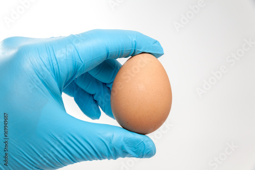 hand in blue glove holding an egg