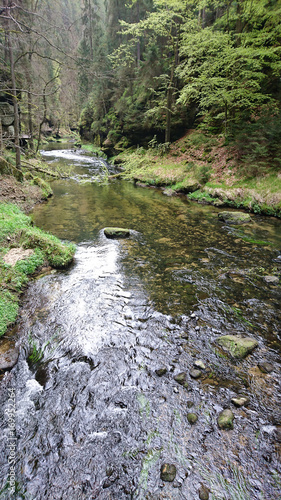 Böhmische Schweiz 02