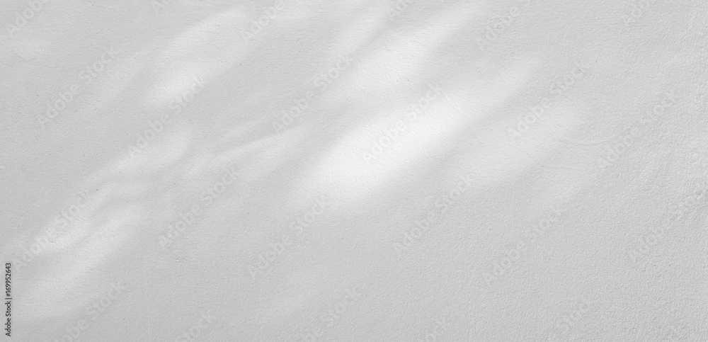 shadow of branches and leaves on white cement wall - obrazy, fototapety, plakaty 