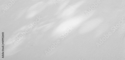 shadow of branches and leaves on white cement wall