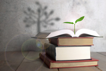 Open book with tree shadow