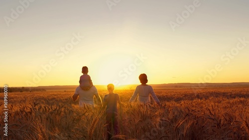 happy family is walking along the wheat field at sunset.