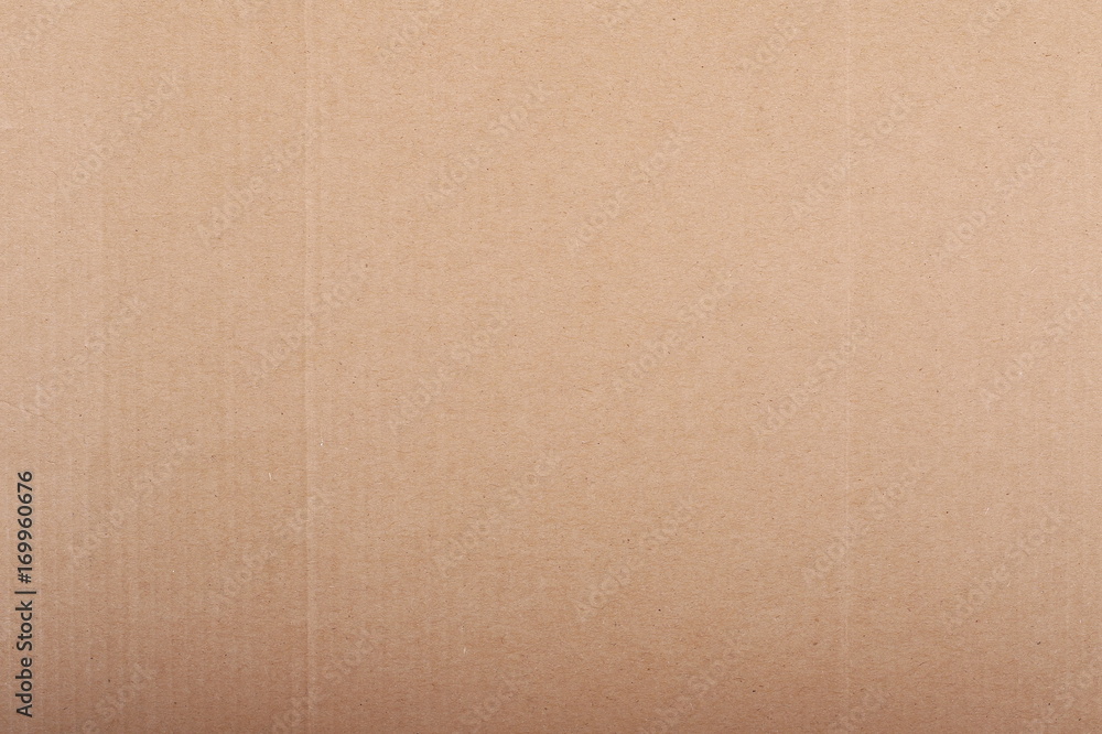 Fototapeta premium Cardboard background and texture