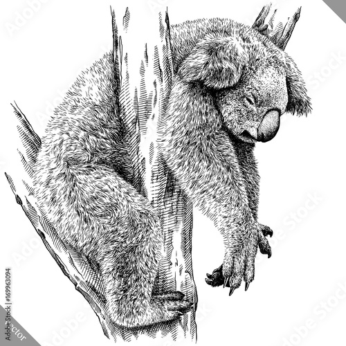 black and white engrave isolated Koala vector illustration