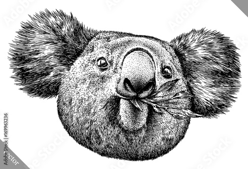 black and white engrave isolated Koala vector illustration