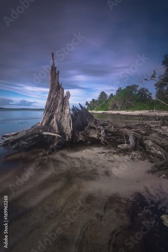 beautiful of mentawai island © dhsirirui