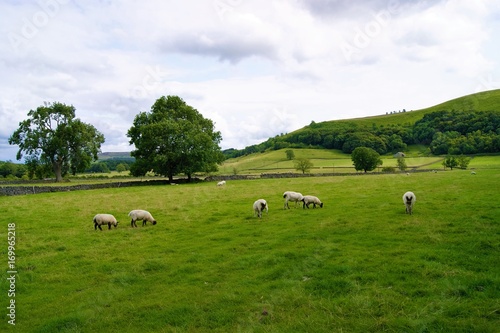 A peaceful rural landscape in the English Peak District.