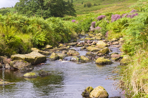 Wheeldale Gill 
Ancient Stream across the North York Moors
 photo