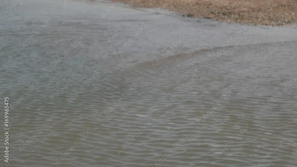 ripples on the surface of the water by the sea ripples on the surface of the water by the sea