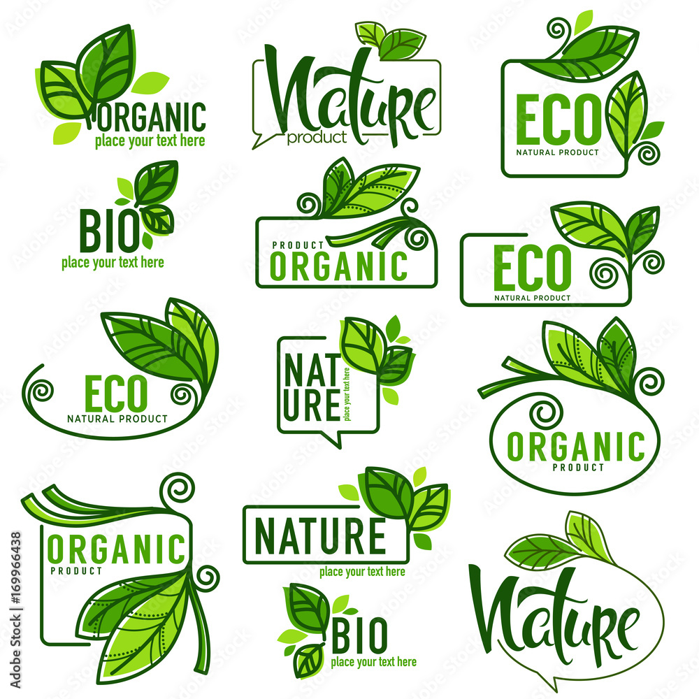 large vector collection of doodle eco, bio, nature and organic leaves and plants emblems, elements,  frames and logo