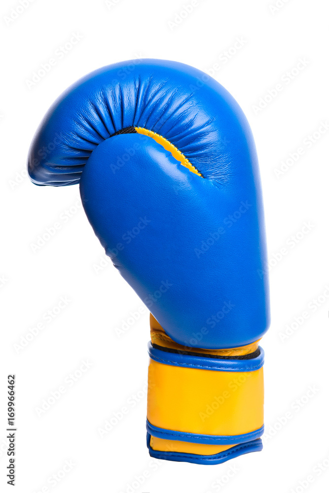 one blue boxing mitts on a white background one blue boxing mitts on a white background