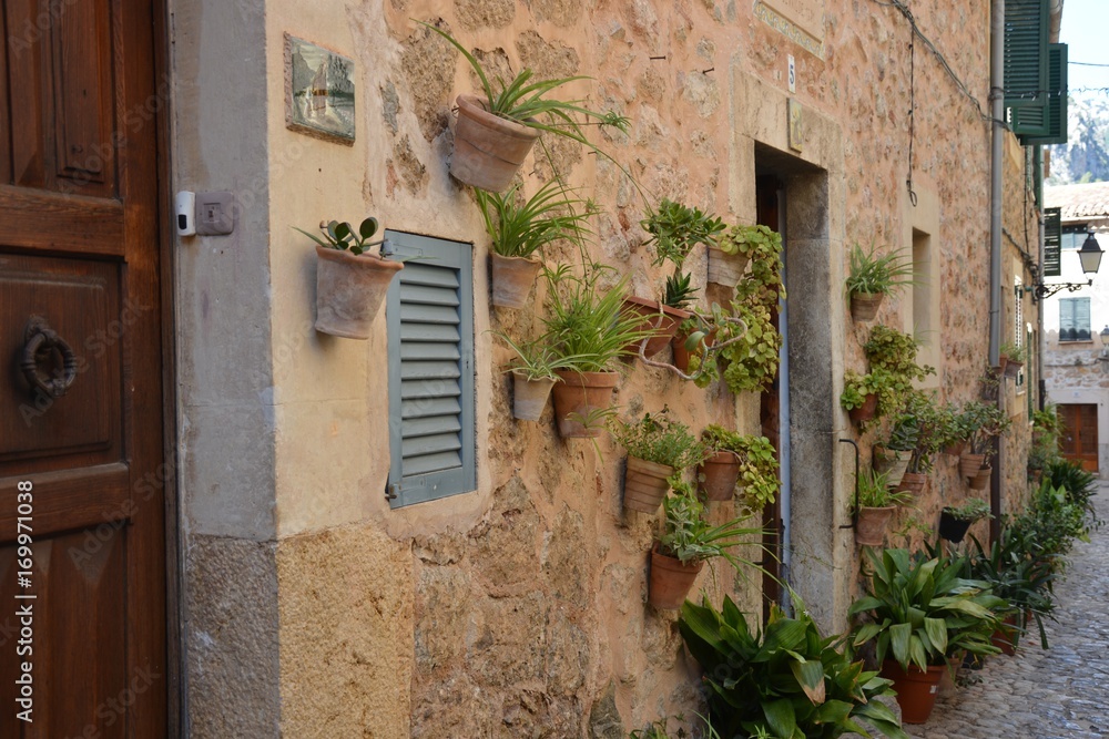 Flowerpots on the wall