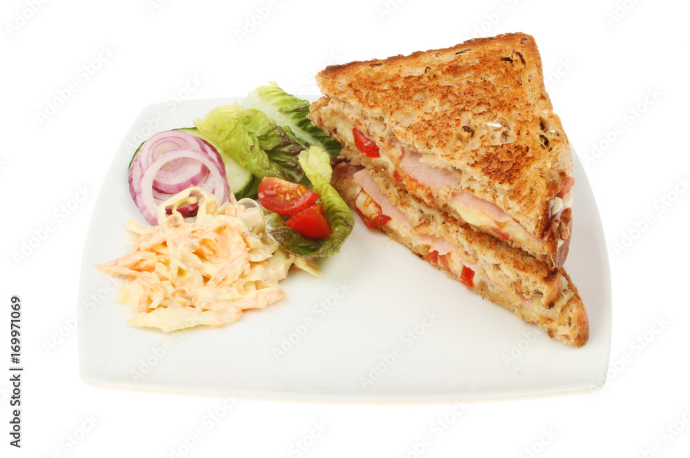 Toasted sandwich and salad