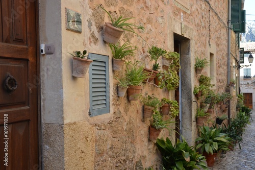 Flowerpots on the wall