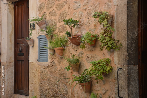 Flowerpots on the wall