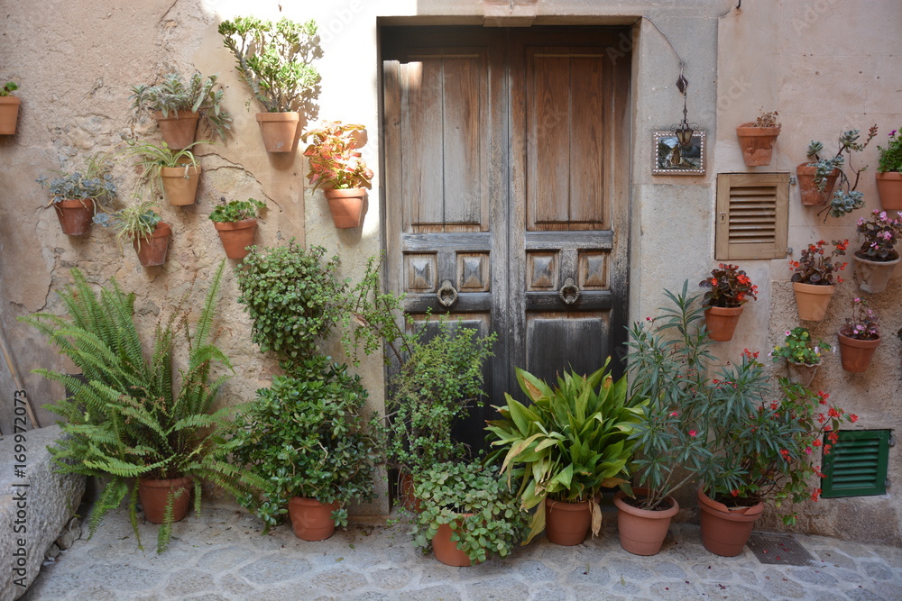 Plants in front of the building