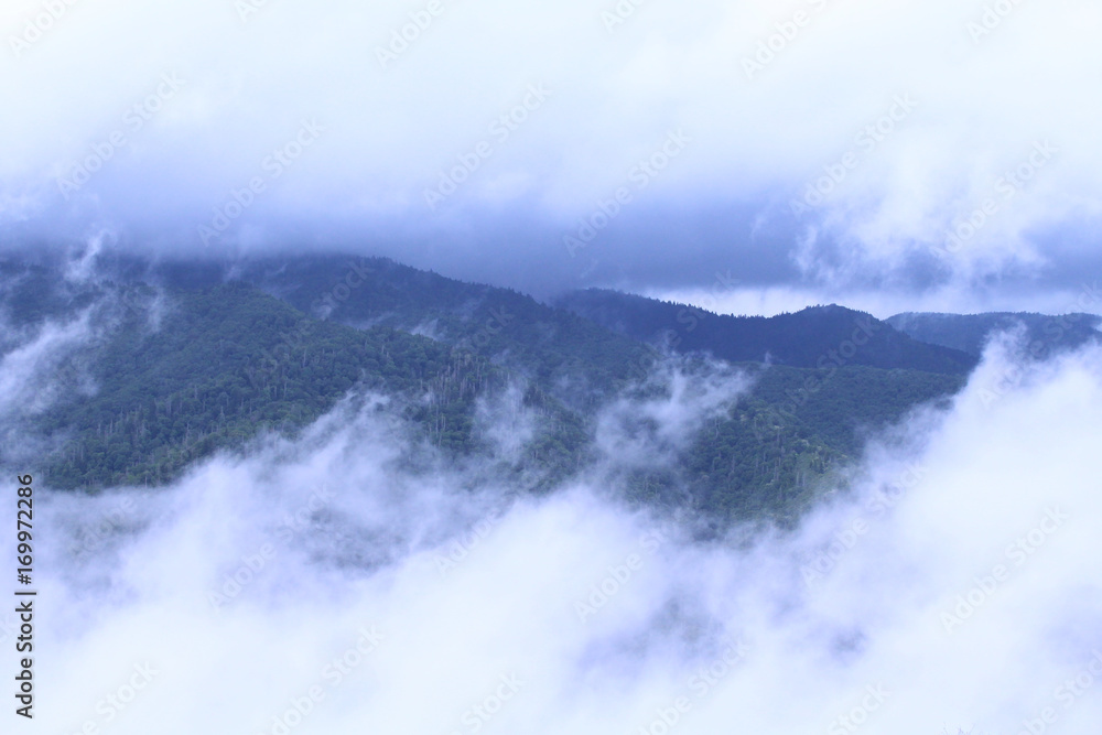 Obraz premium Forested Mountains Covered Under the Clouds and Heavy Fog