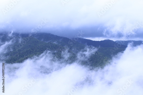 Forested Mountains Covered Under the Clouds and Heavy Fog