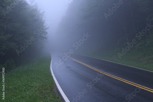 Misty Misterious Road in the Dark Woods of America