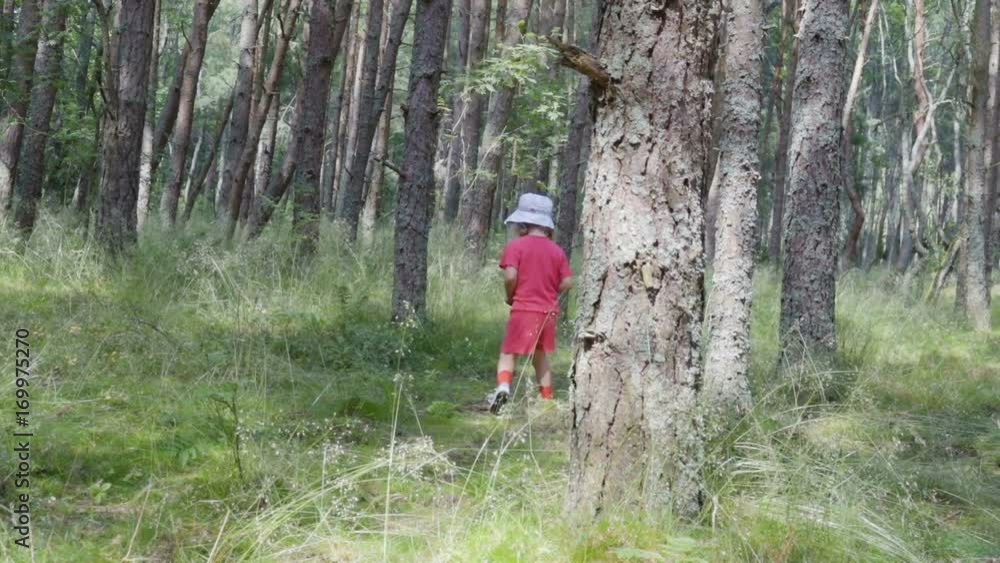 Little girl travels through forest. Child tourist walk through a forest road. Hiking outdoors on nature. Enjoying Nature at Camping. Little girl travels through forest. Child tourist walk through a forest road. Hiking outdoors on nature. Enjoying Nature at Camping.