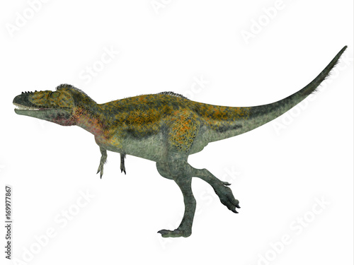 Alioramus Dinosaur Side Profile - Alioramus was a carnivorous theropod dinosaur that lived in Asia in the Cretaceous Period. © Catmando