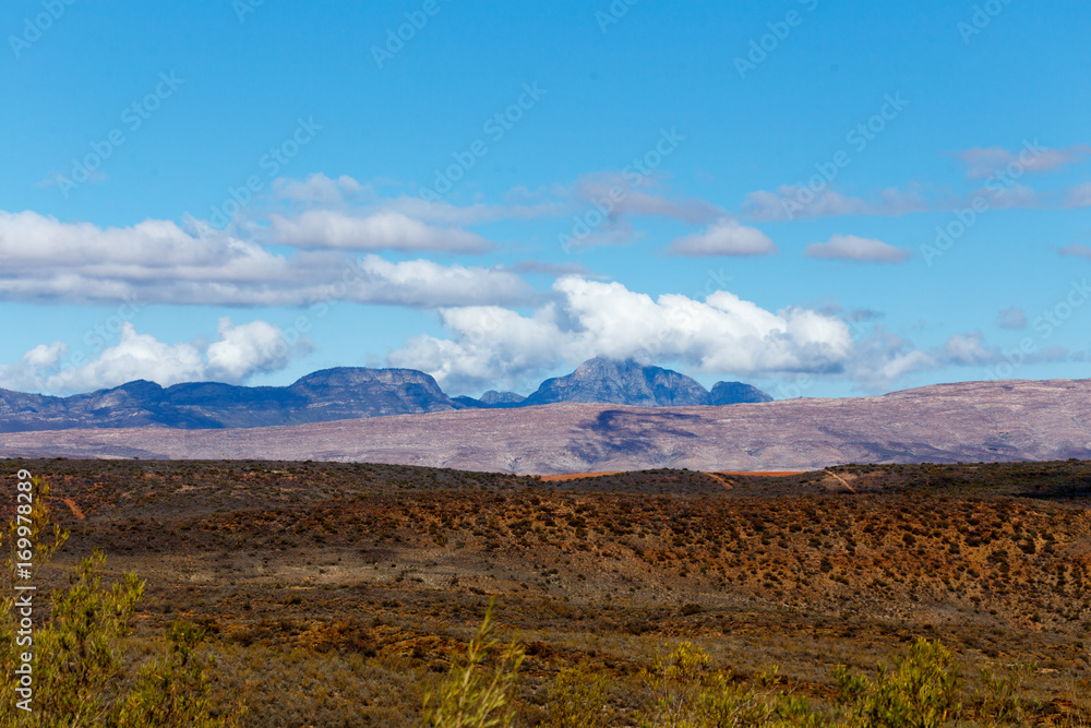 Bushy landscape with mountains