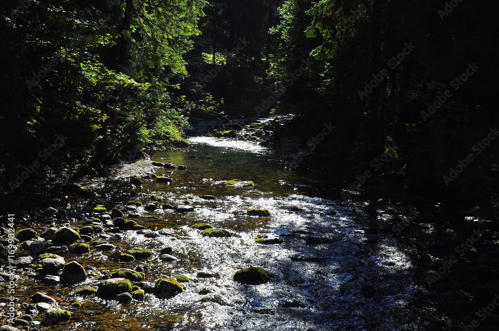 Obraz premium Tatry - strumień
