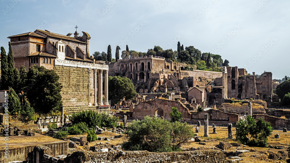 The ruins of the Forum Romanum in Rome, Italy