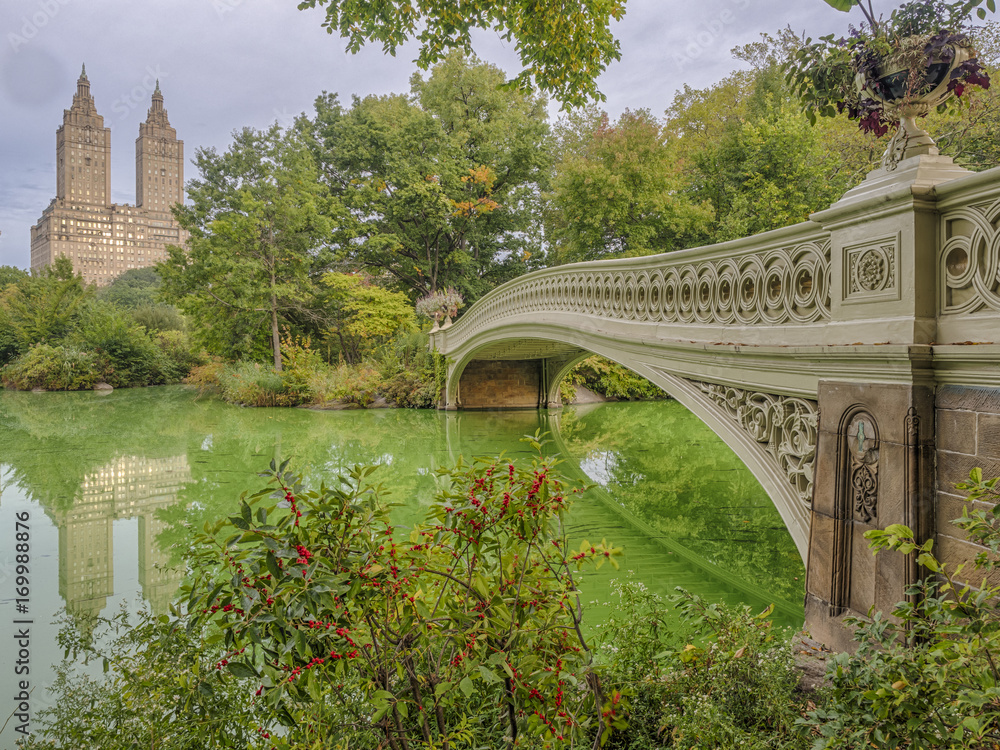 Naklejka premium Bow bridge Central Park