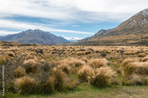 Canterbury scenery, South Island, New Zealand