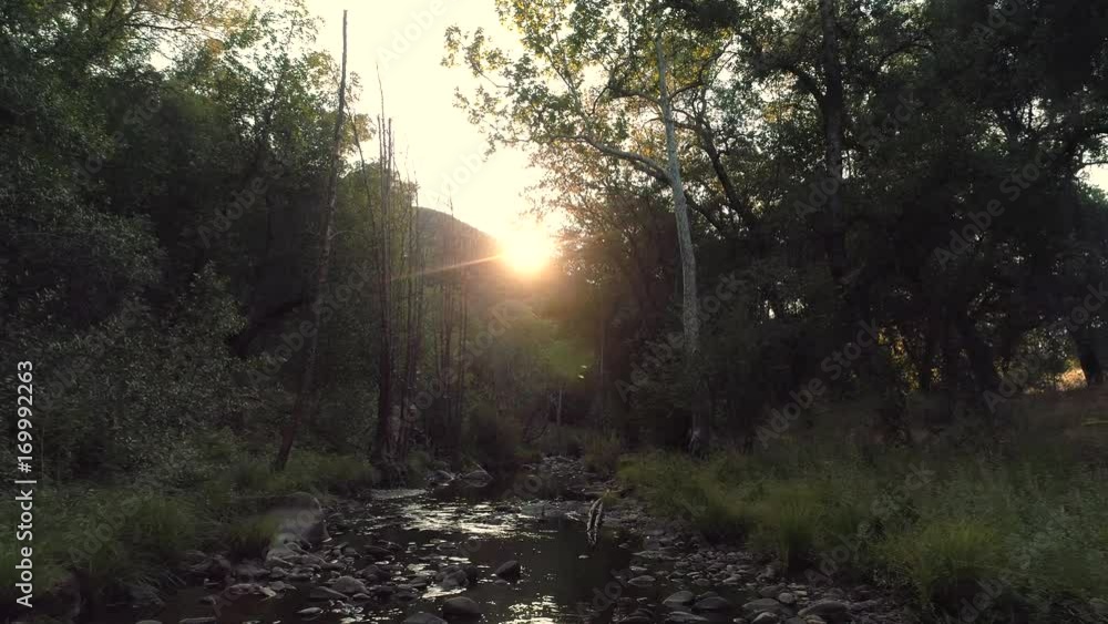 Aerial shot flying low over a creek in the forest at sunset. Beautiful sun with lens flare and lush trees. Peaceful. Aerial shot flying low over a creek in the forest at sunset. Beautiful sun with lens flare and lush trees. Peaceful.