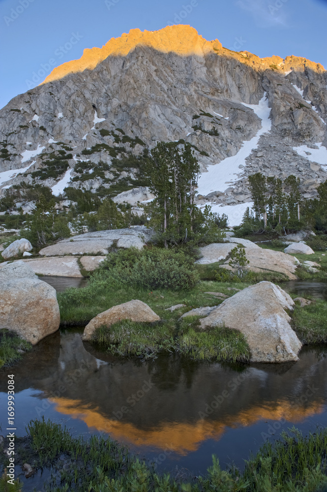 Fletcher Peak reflected in Fletcher Creek, High Sierra, Yosemite, California