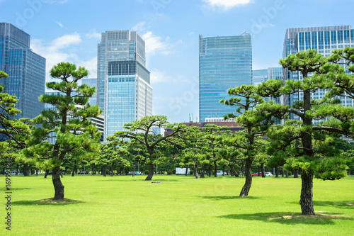 Tableau sur toile 皇居前広場と丸の内高層ビル群