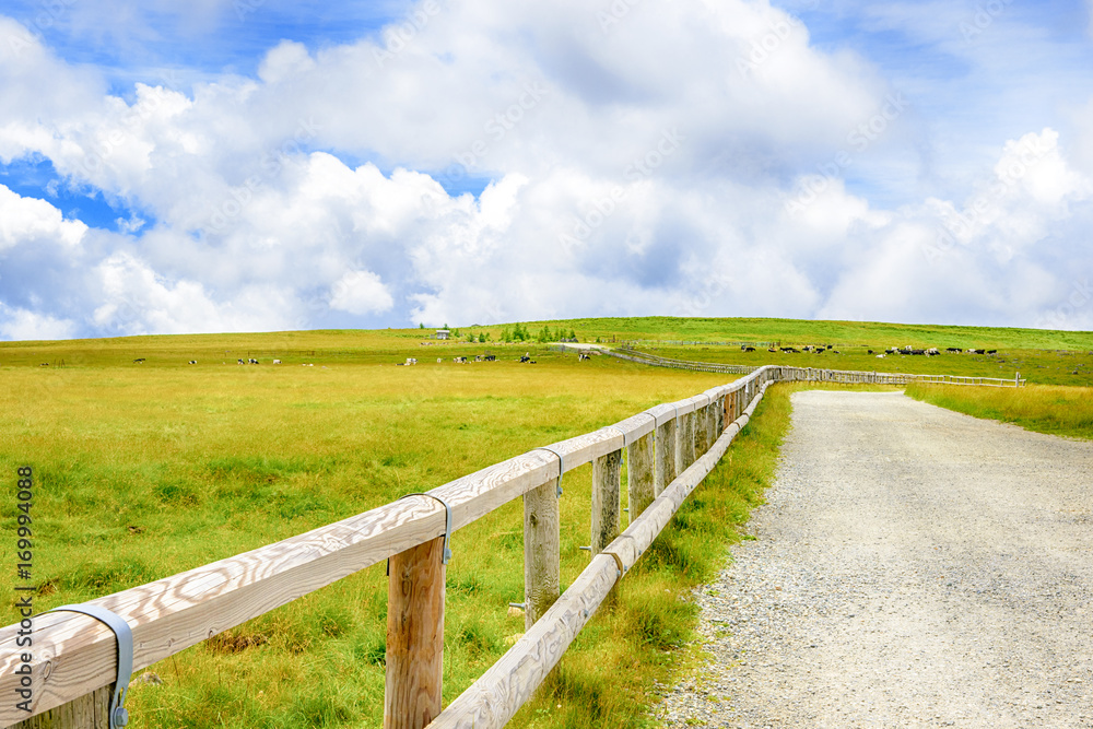 高原の風景、長野県、美ヶ原高原。
