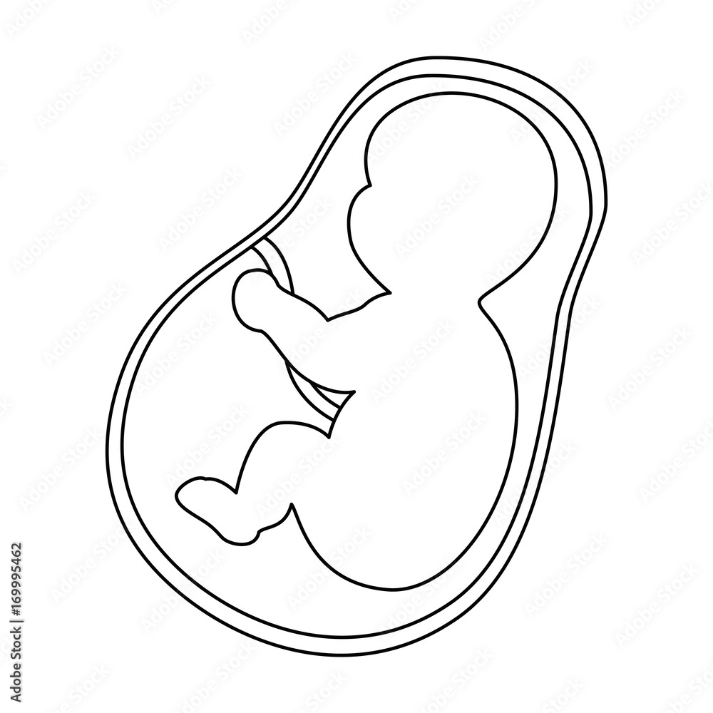 newborn baby isolated icon vector illustration design newborn baby isolated icon vector illustration design